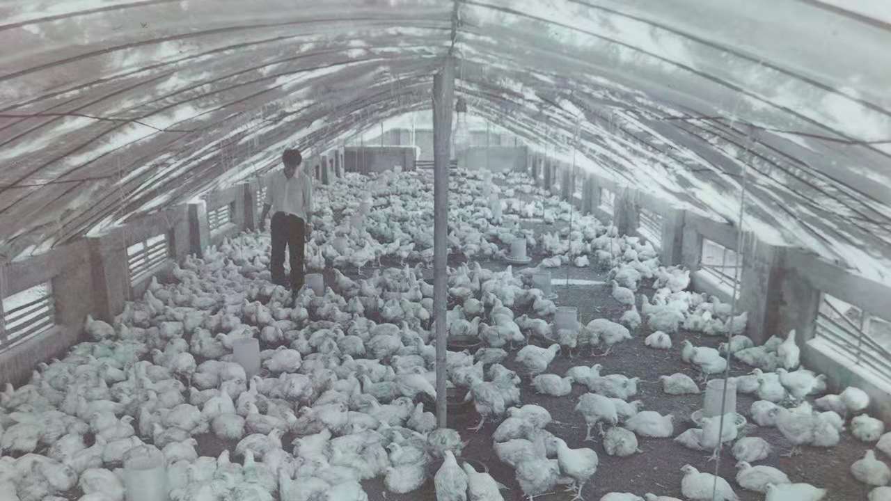 PP电子·(中国集团)最新官方网站