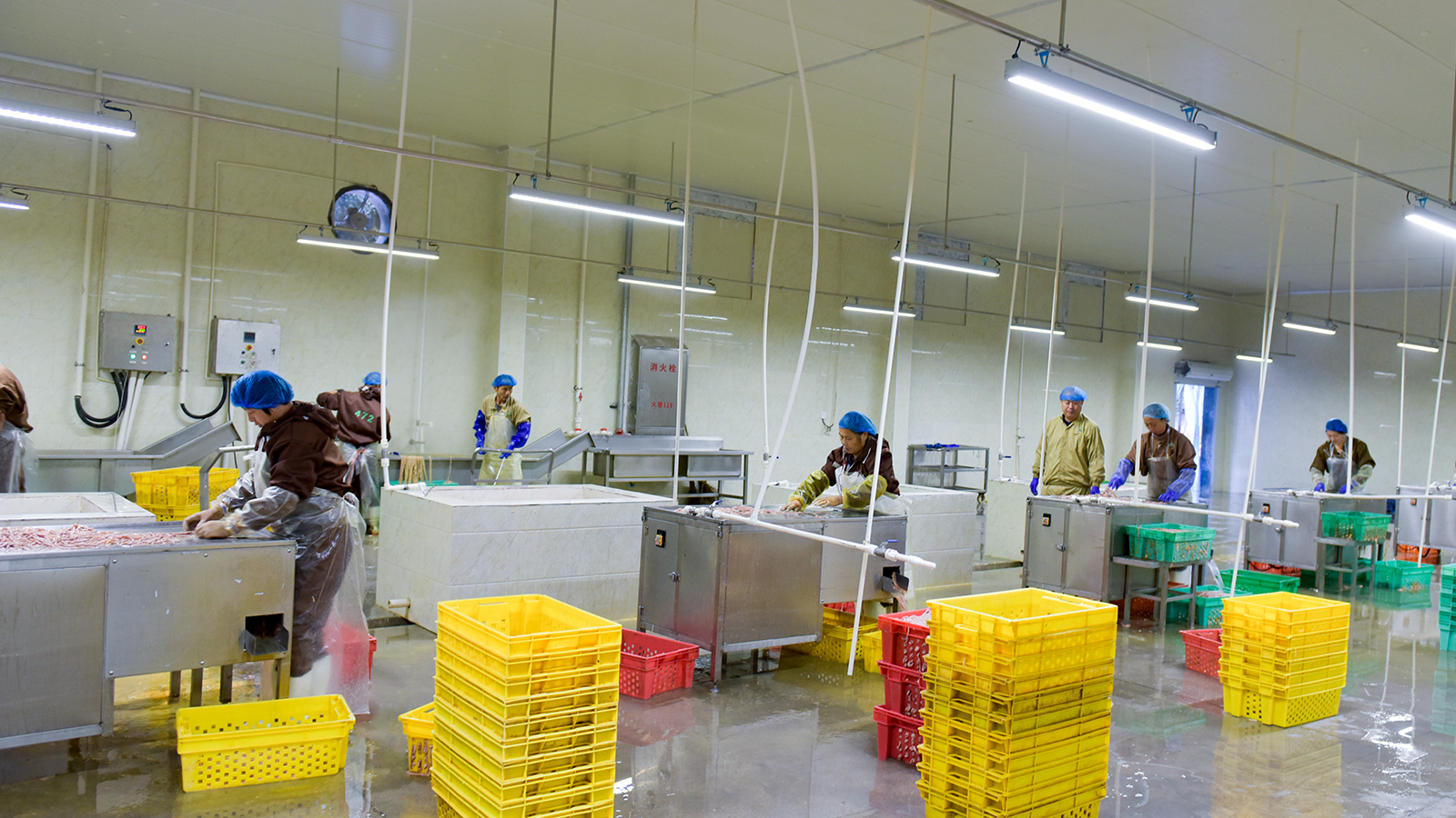 PP电子·(中国集团)最新官方网站