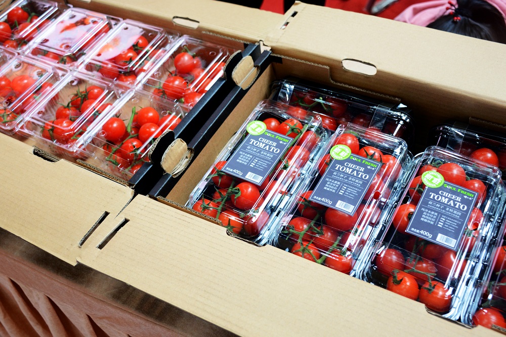 PP电子·(中国集团)最新官方网站