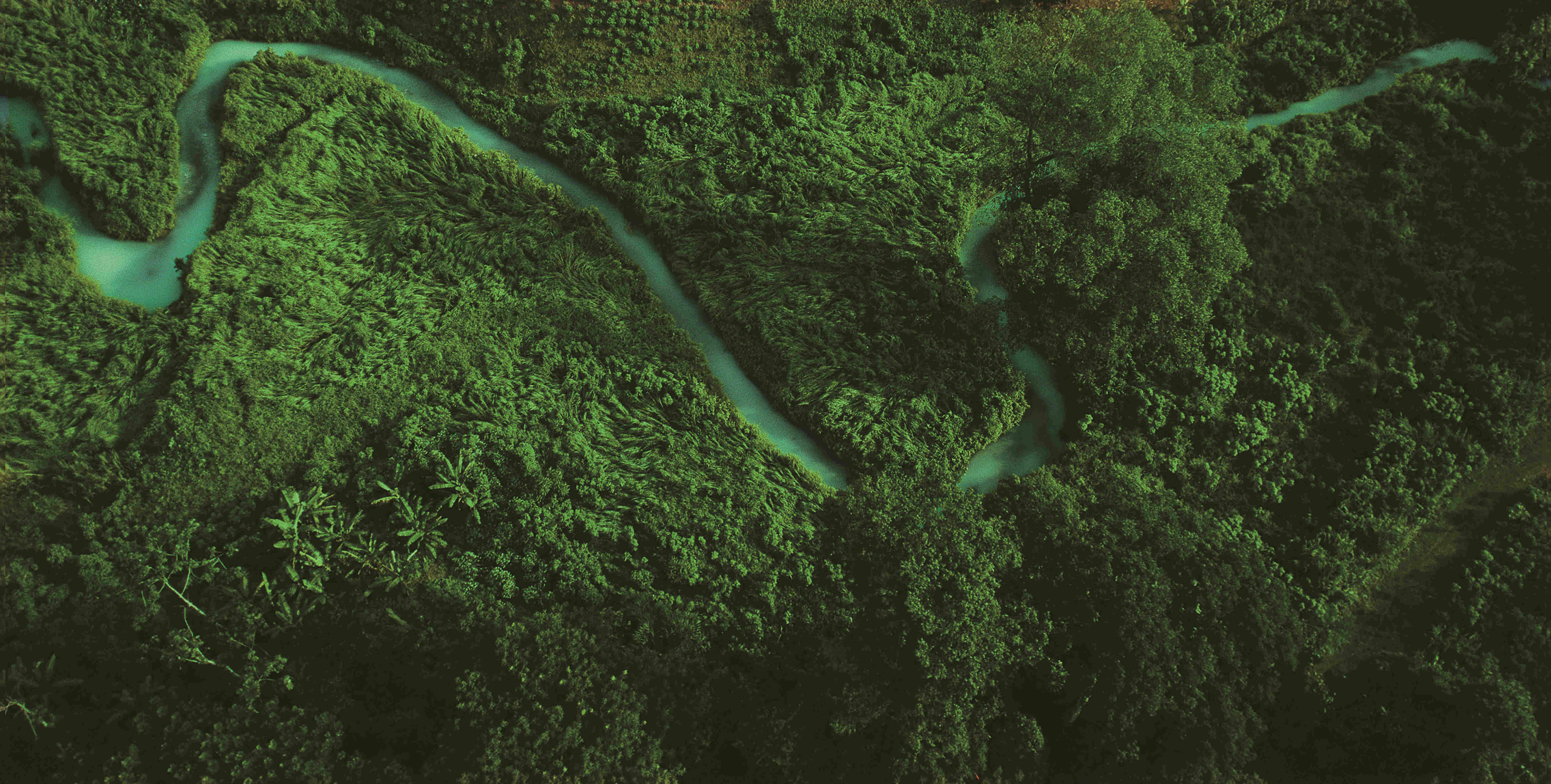 PP电子·(中国集团)最新官方网站