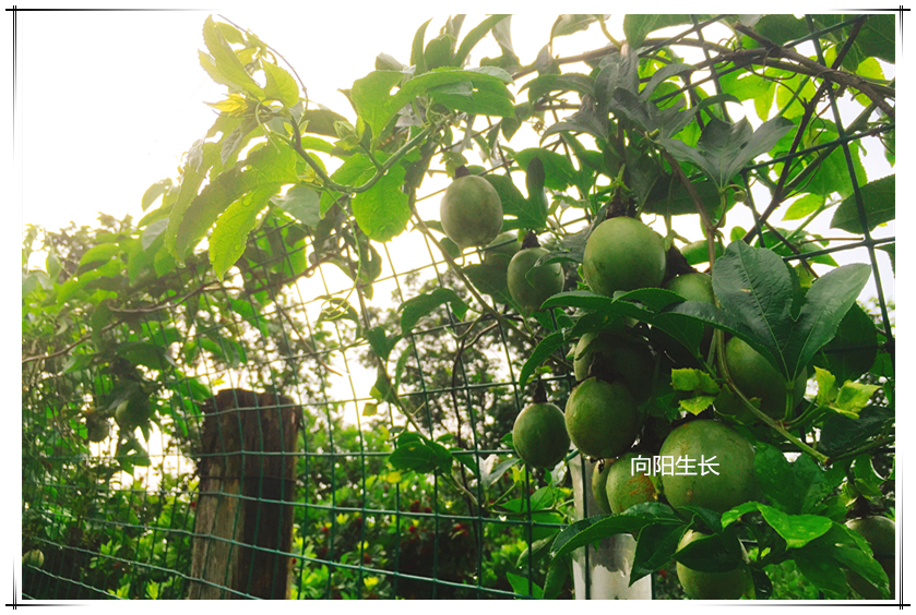 PP电子·(中国集团)最新官方网站