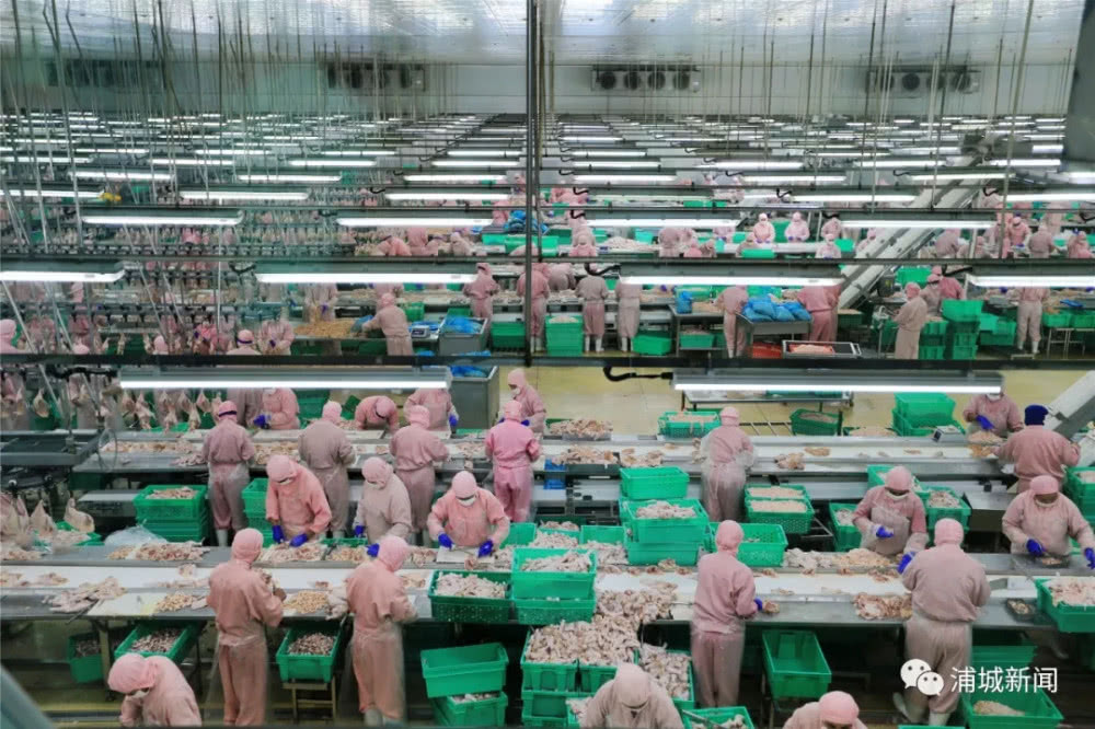 PP电子·(中国集团)最新官方网站