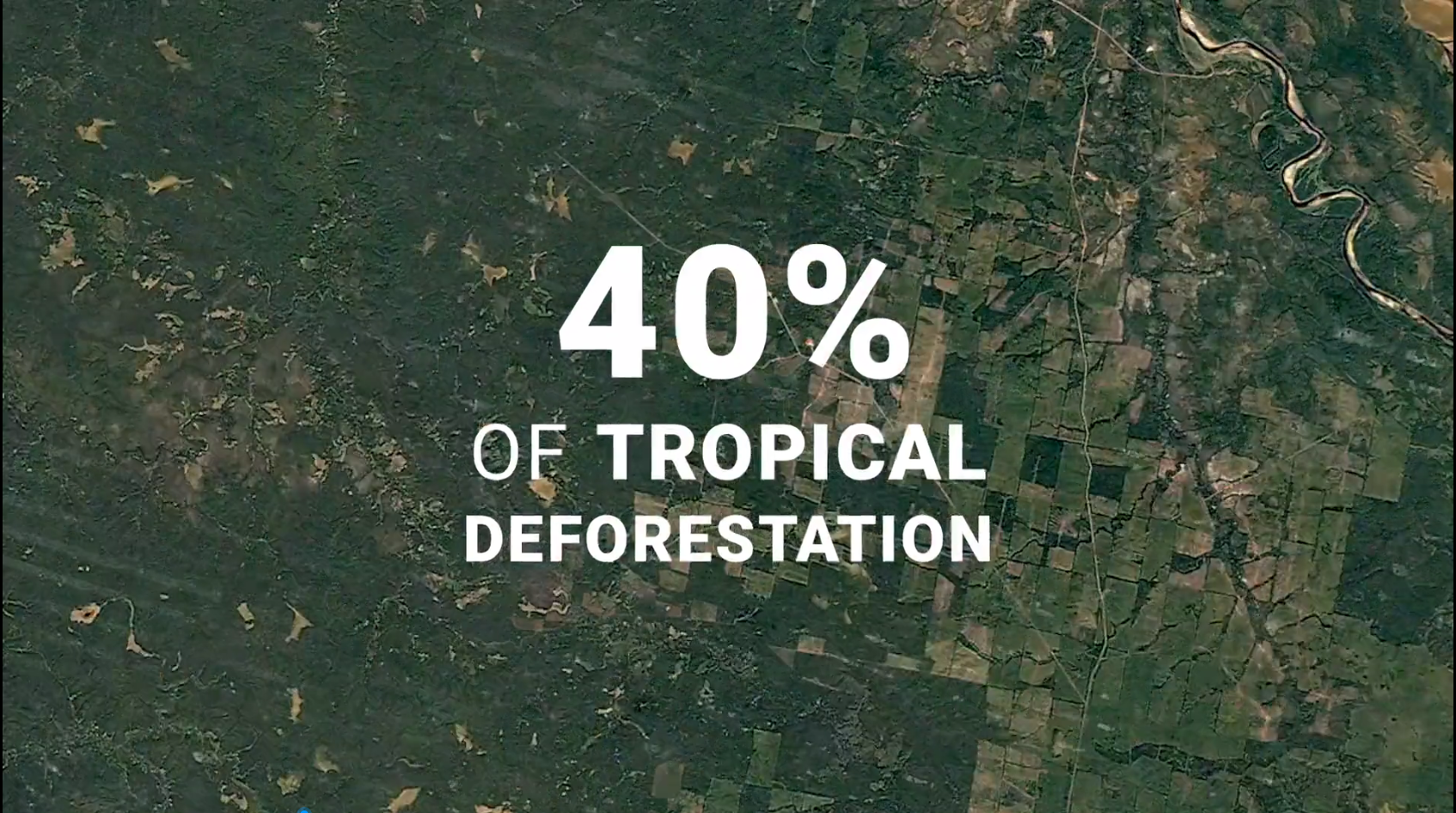 PP电子·(中国集团)最新官方网站