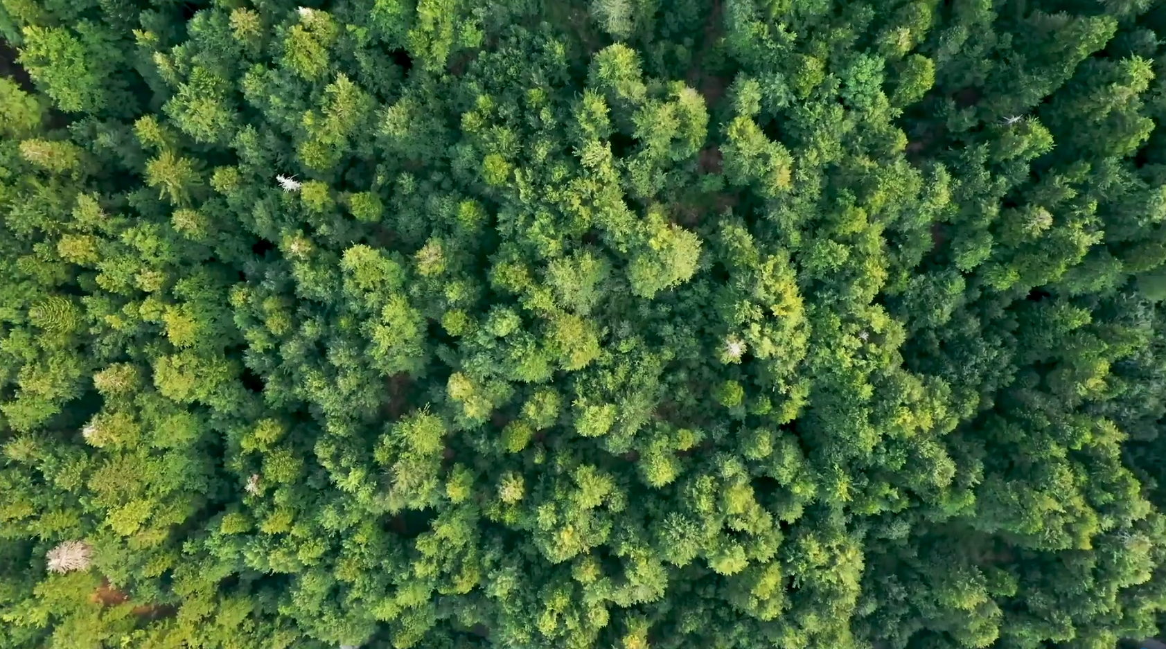 PP电子·(中国集团)最新官方网站