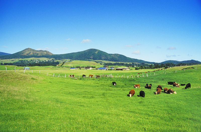 PP电子·(中国集团)最新官方网站