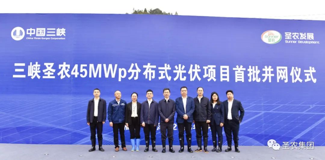 PP电子·(中国集团)最新官方网站