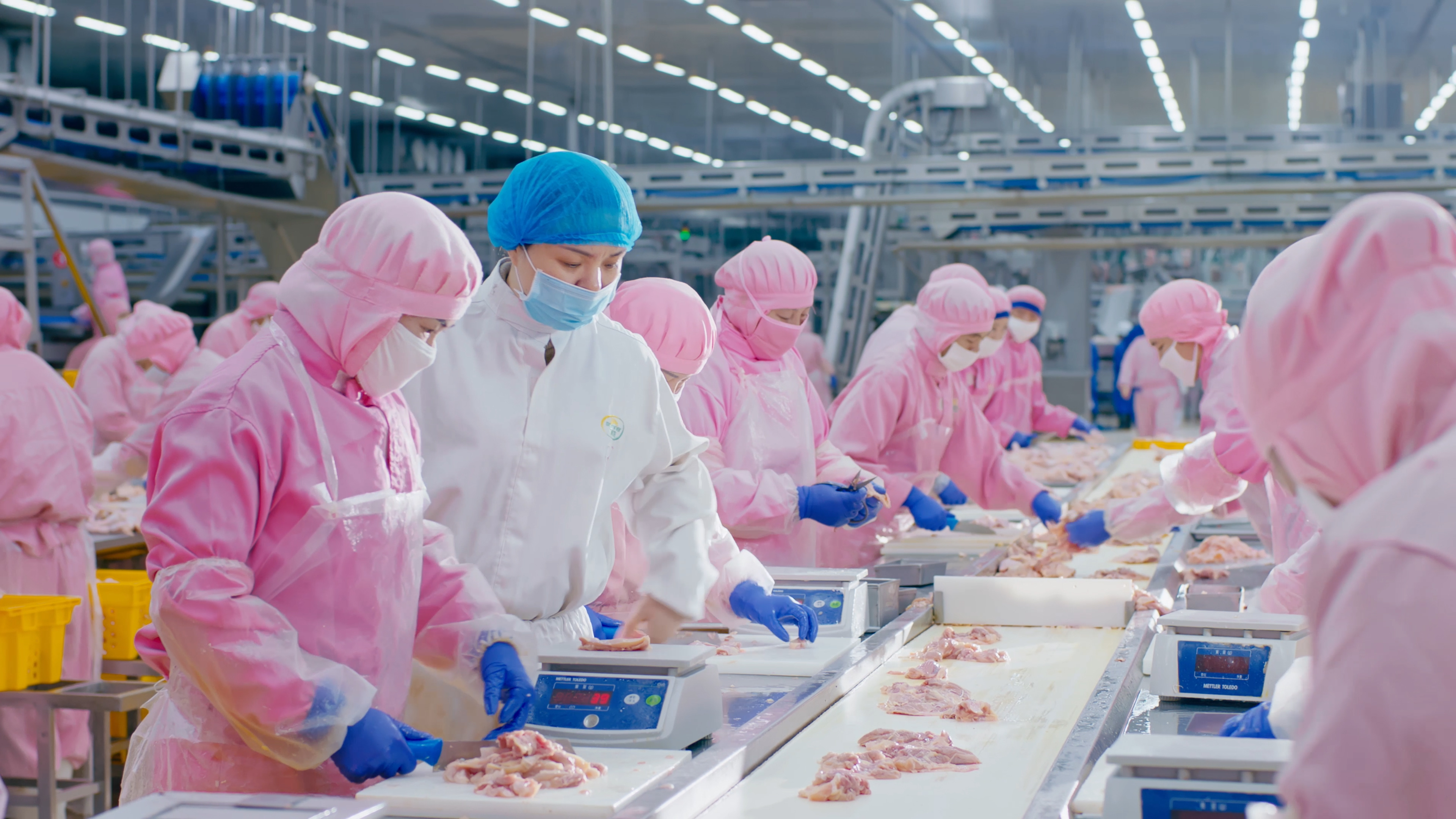 以人为本，，携手员工配合开展