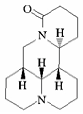 苦参碱注射液