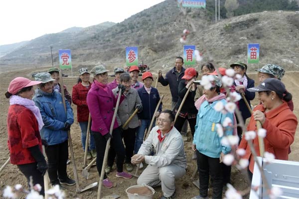 大奖国际中药材莳植基地